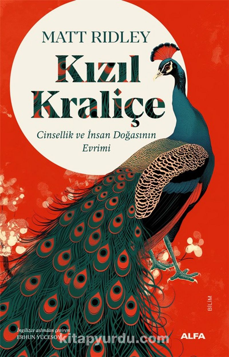 Kızıl  Kraliçe
