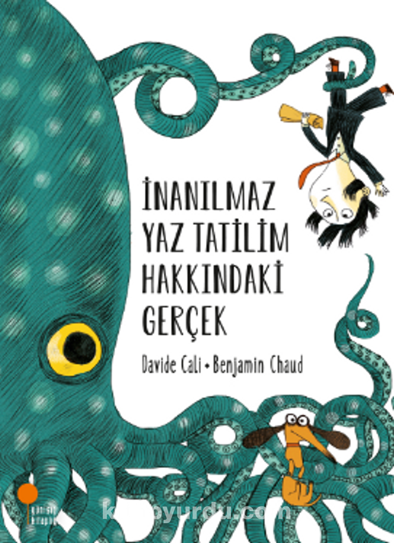 İnanılmaz Yaz Tatilim Hakkındaki Gerçek