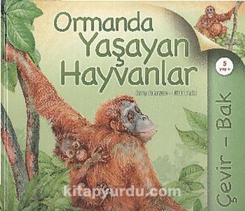 Çevir Bak / Ormanda Yaşayan Hayvanlar