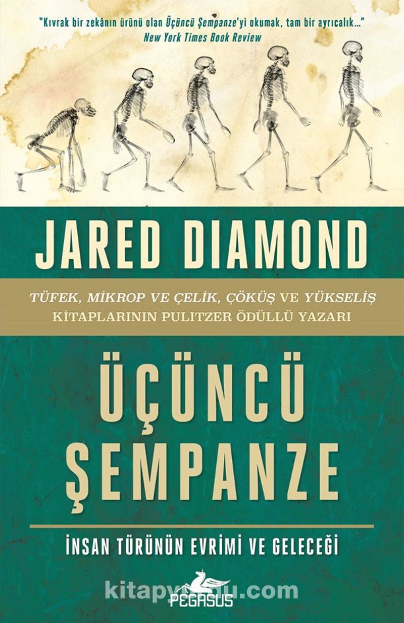 Üçüncü Şempanze: İnsan Türünün Evrimi ve Geleceği