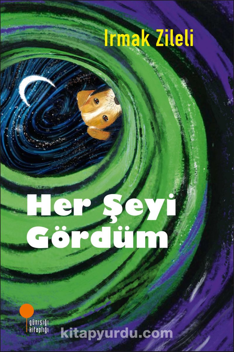 Her Şeyi Gördüm