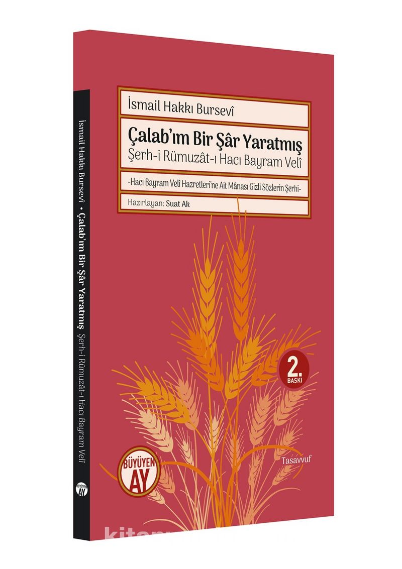 Şerh-i Rümuzat-ı Hacı Bayram Veli Çalab'ım Bir Şar Yaratmış