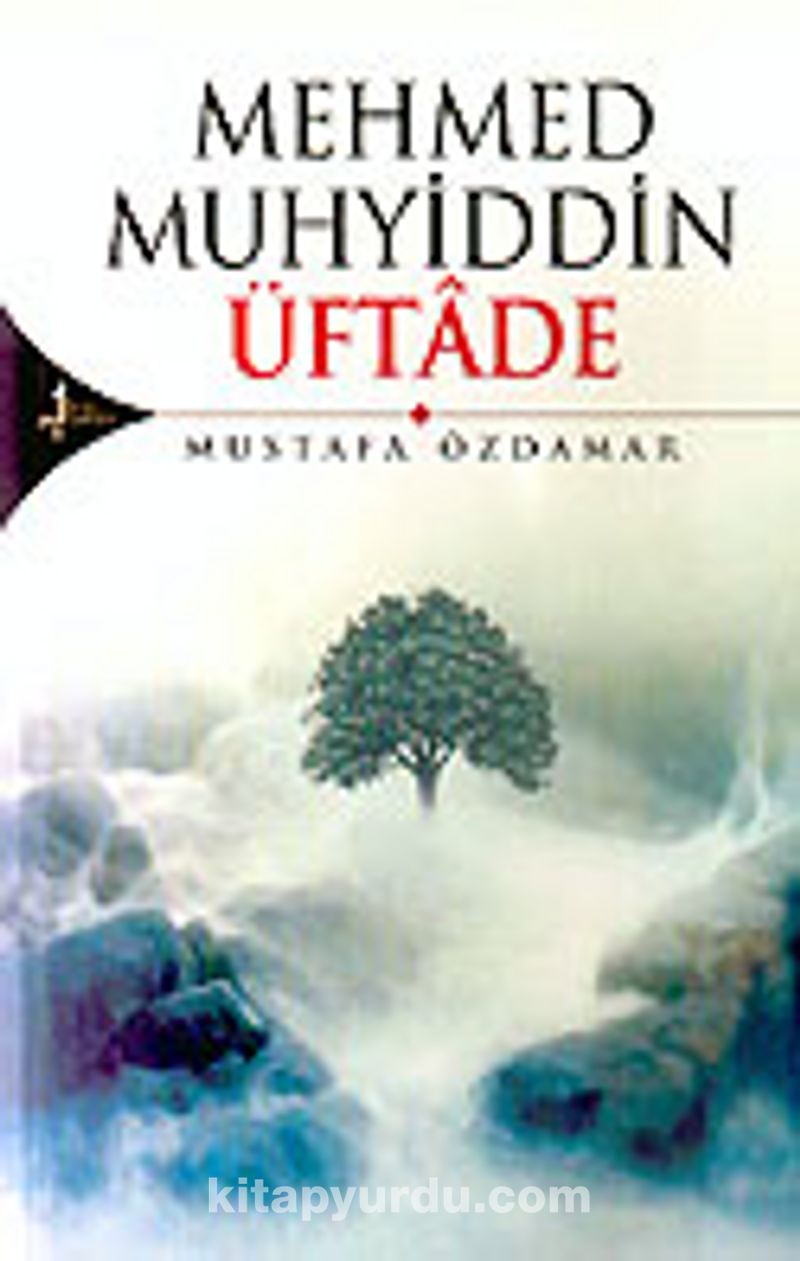 Mehmed Muhyiddin Üftade