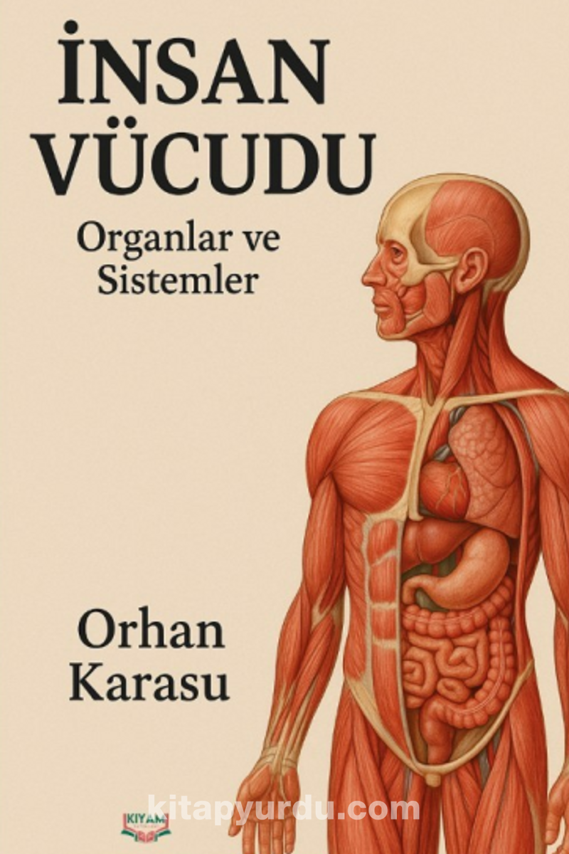 İnsan Vücudu Organlar ve Sistemler