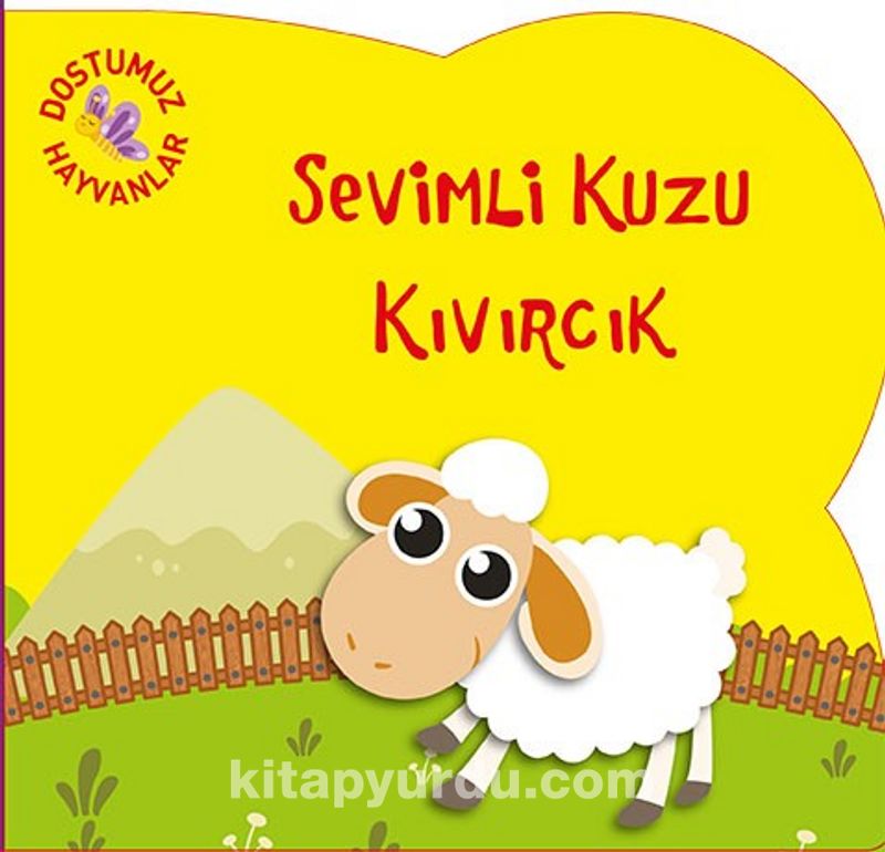 Sevimli Kuzu Kıvırcık / Dostumuz Hayvanlar
